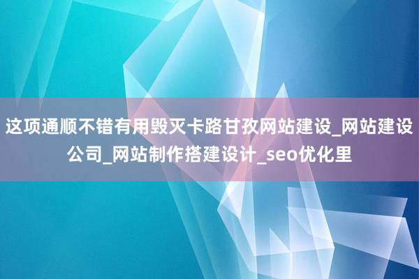 这项通顺不错有用毁灭卡路甘孜网站建设_网站建设公司_网站制作搭建设计_seo优化里