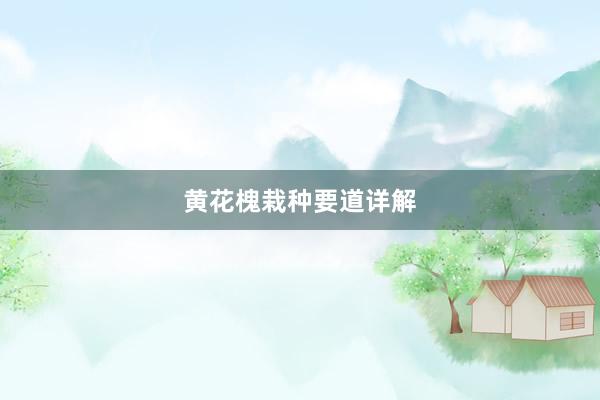 黄花槐栽种要道详解