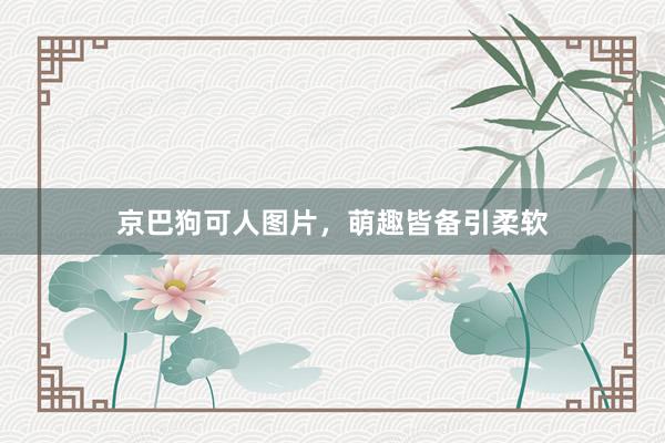 京巴狗可人图片,萌趣皆备引柔软